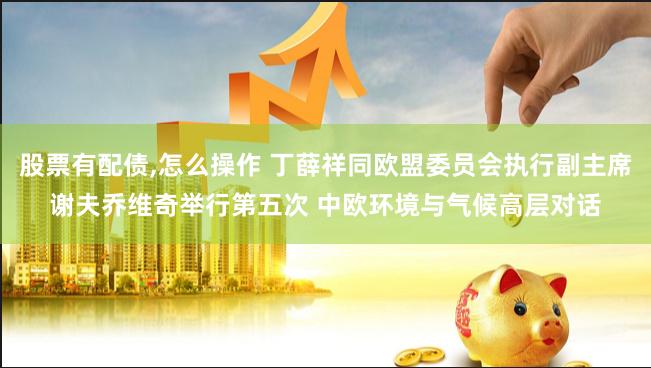 股票有配债,怎么操作 丁薛祥同欧盟委员会执行副主席谢夫乔维奇举行第五次 中欧环境与气候高层对话